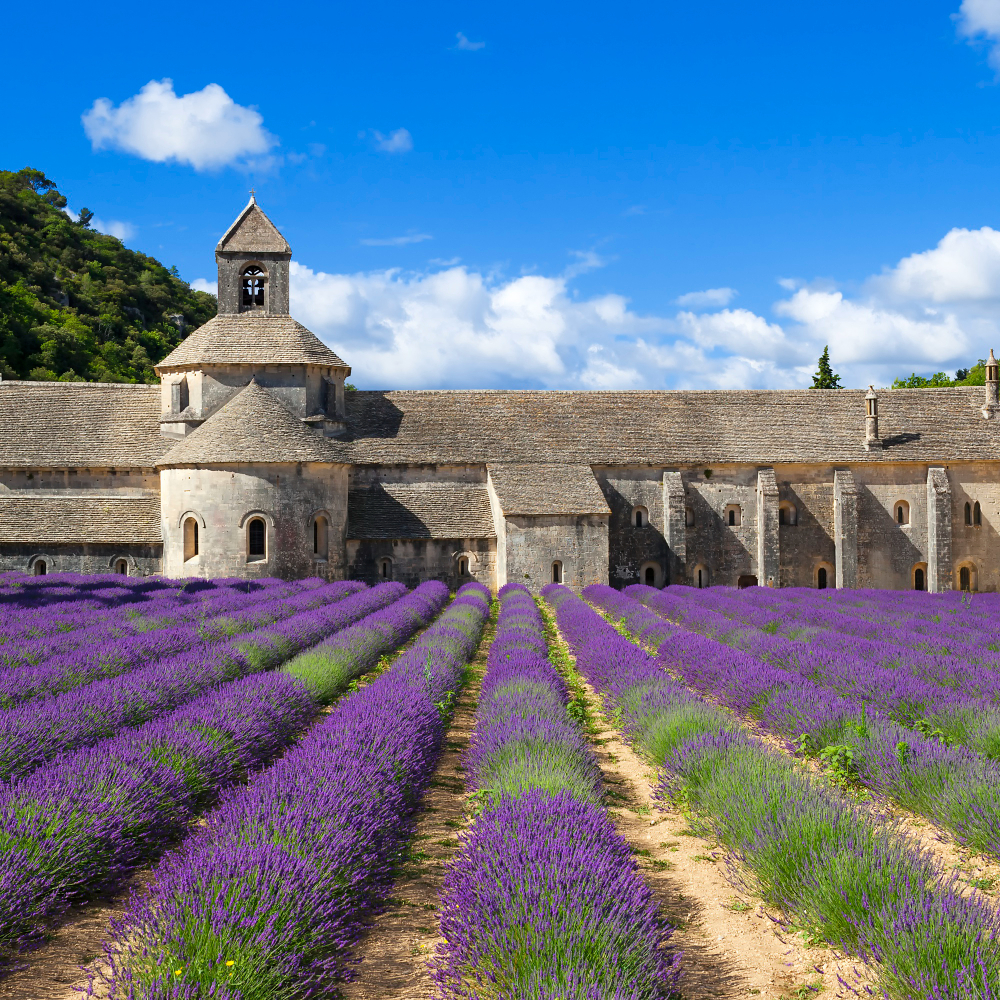 Univalpo - Corsi in Valpolicella - Francia